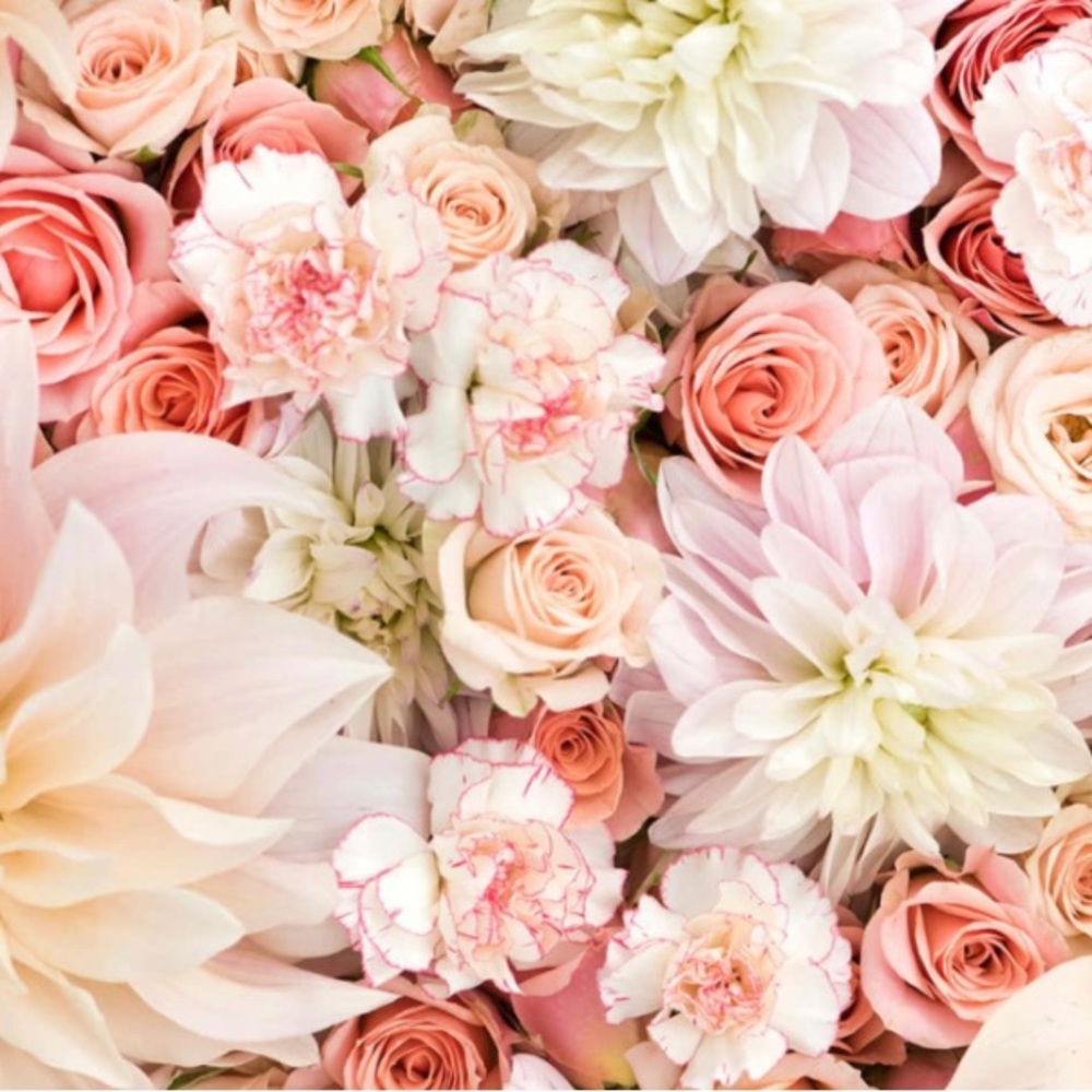 Meet your Posher, Theresa